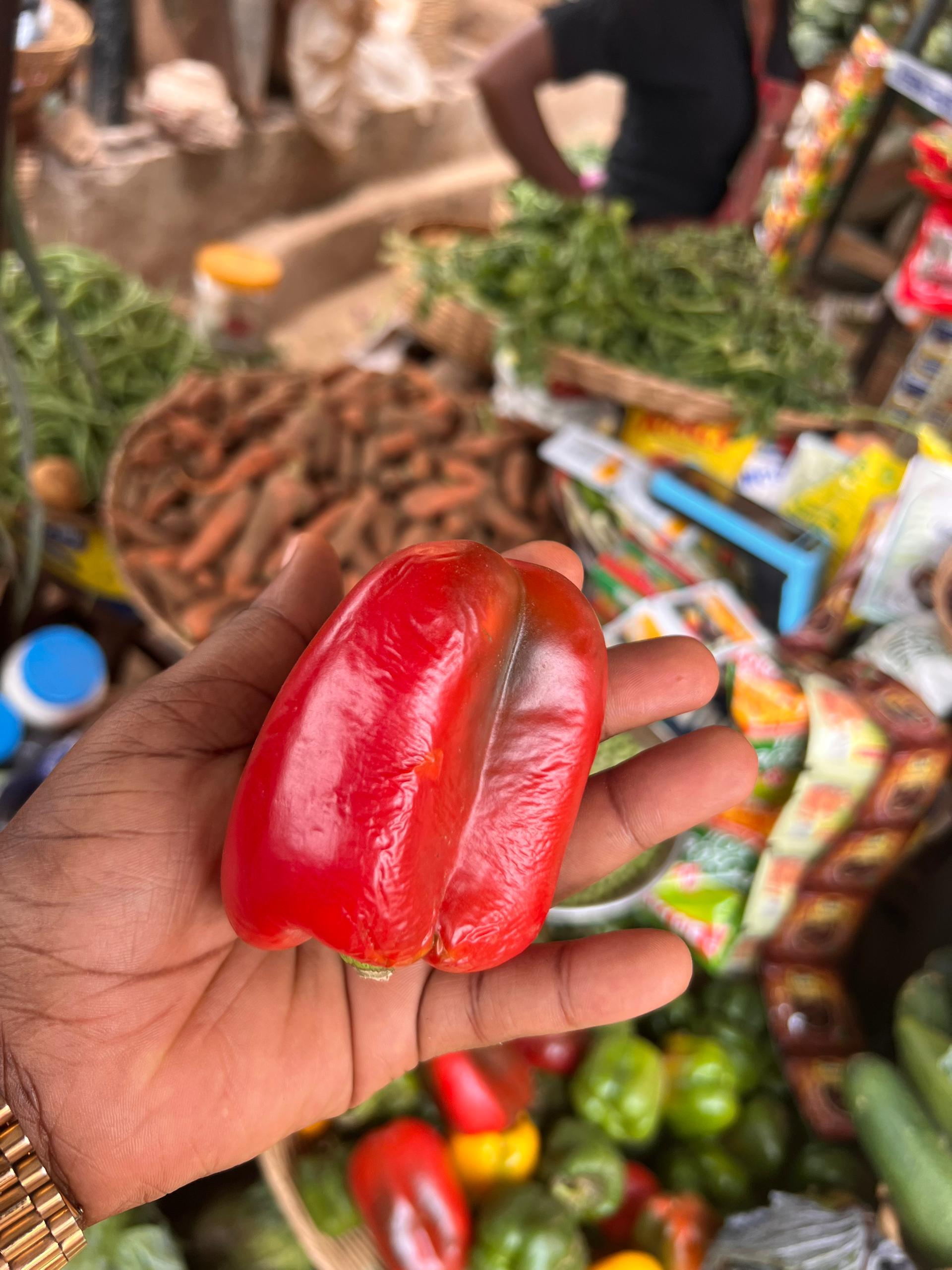 Fresh Red Pepper – Vibrant & Flavorful Farm Produce.